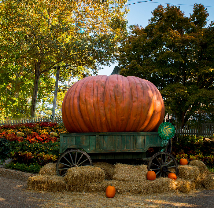 Fall fun is here with the Busch Gardens Williamsburg Halloween Harvest ...