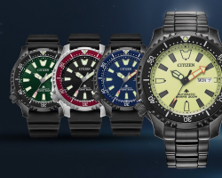 Citizen Watch Military Discount: Citizen Watch is proud to salute military with an additional 15% Military Discount on select models