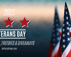 Veterans Day Deals 2023: MilitaryBridge's Big List of Veterans Day Discounts, Freebies & Giveaways
